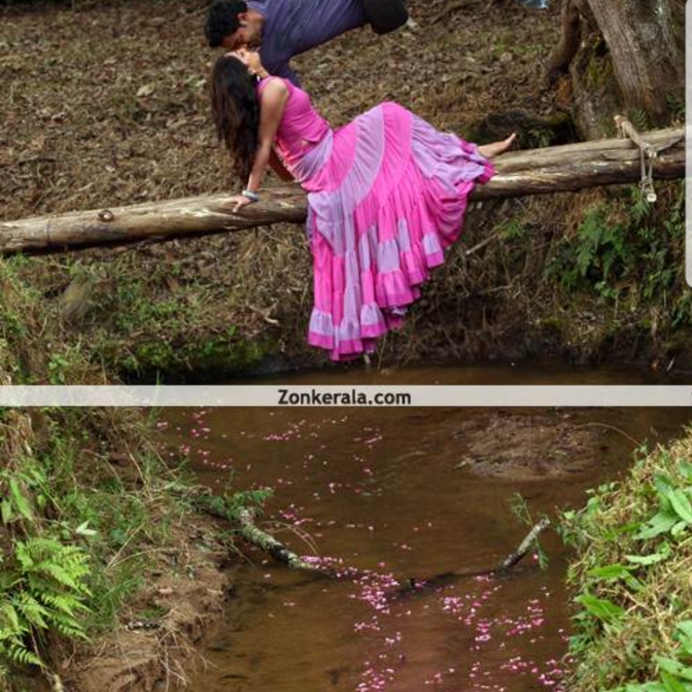 Indian pakistani lehenga choli ² pcs